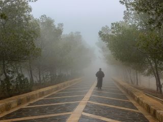 Signal Scan: A Quick Check for Slow-Burning Drift