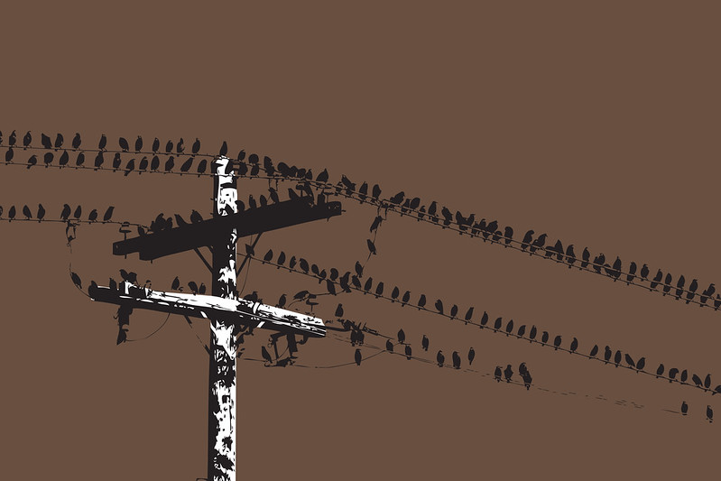 sillhouettes of humans on rock – symbolic of potential or realization